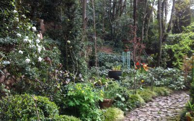 El Jardín Sostenible