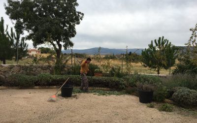Los jardines tienen que tener plantas