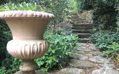 Un jardín de claroscuros