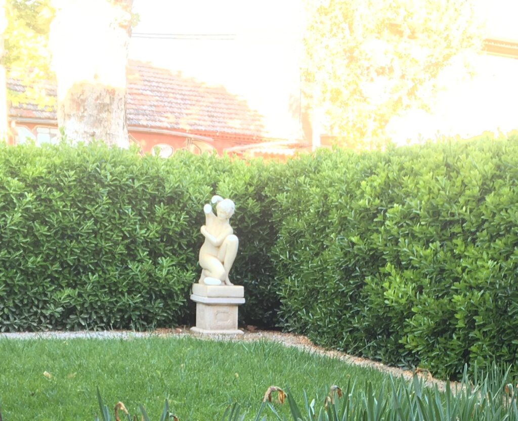 La presencia de venus en un estilo actual de jardín