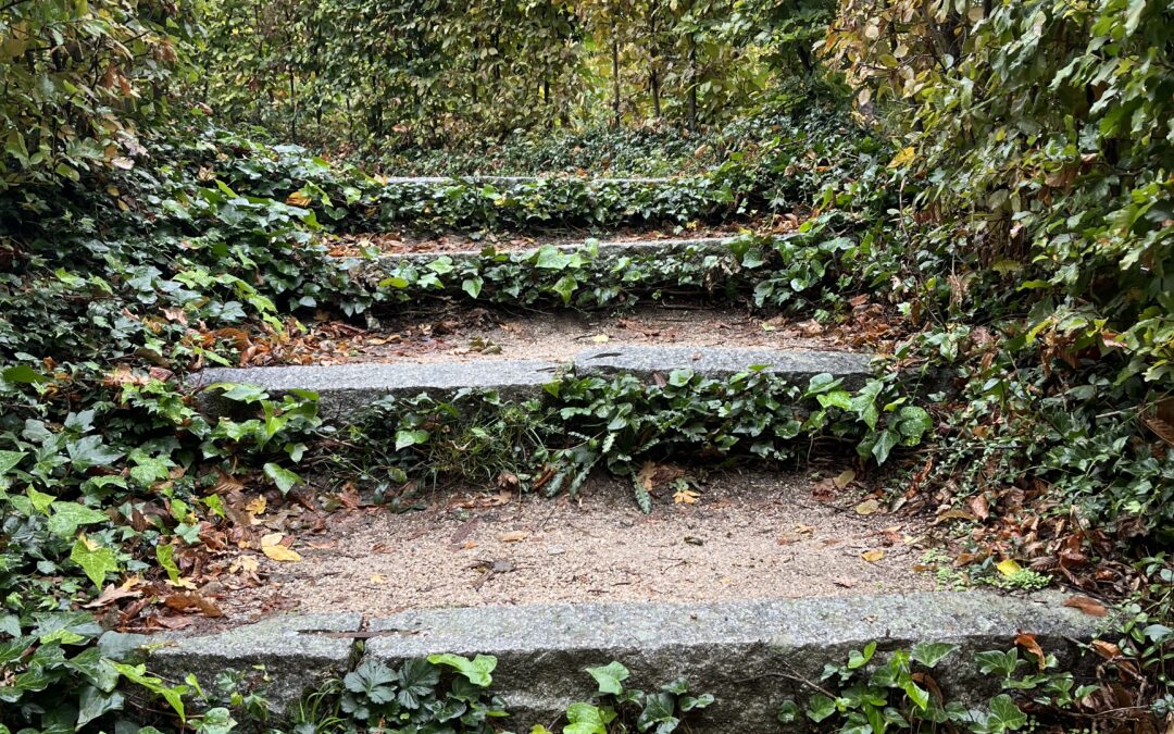 MISCELÁNEA DEL JARDÍN