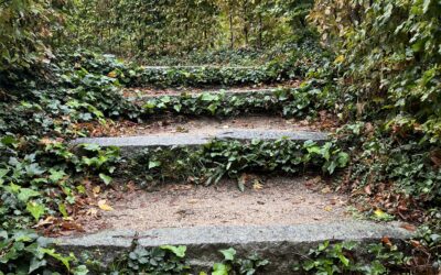 MISCELÁNEA DEL JARDÍN
